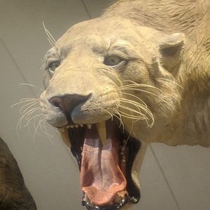 Meet your Posher, Evelyn